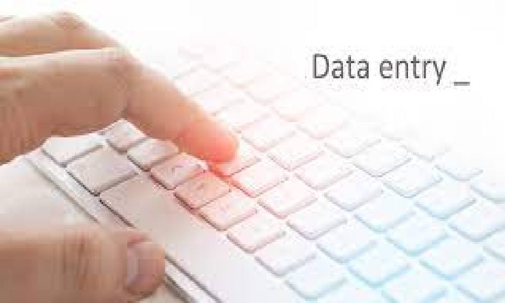 Certificate Course in Data Entry Operator (CDEO)